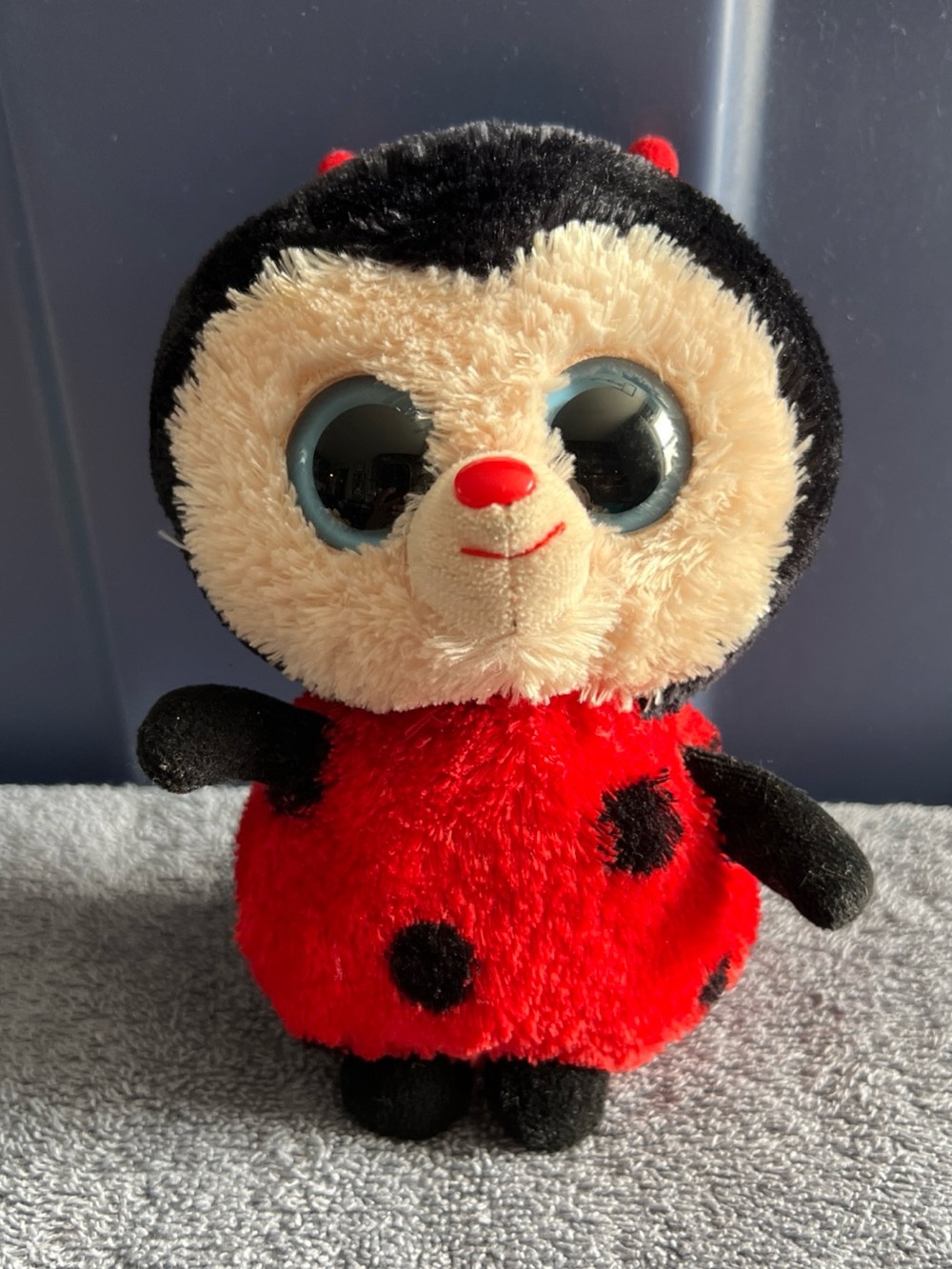 Ty Beanie Boo 6” Bugsy the Lady Bug Plush Stuffed Animal Retired 2013